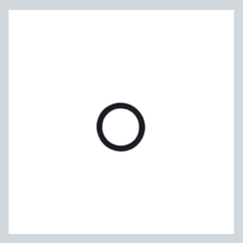 CARRIER O RING NL 42-00805-02