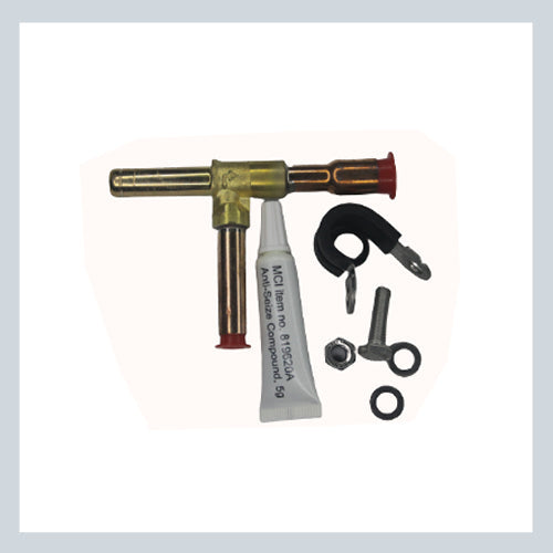 STAR COOL ECONOMIZER VALVE VER 3 889200A